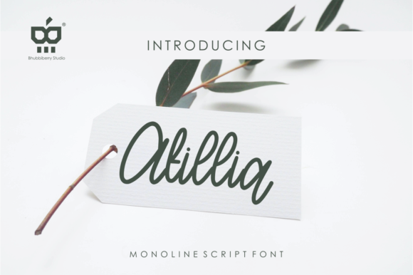 Atillia: A Timeless Script Font for Modern Web Design