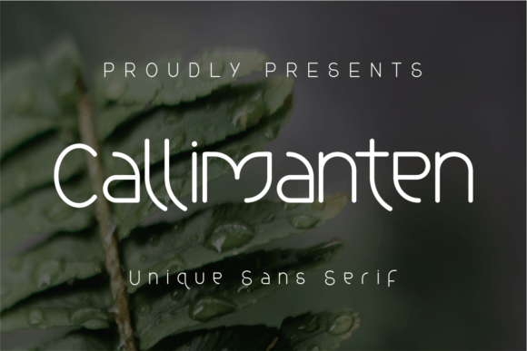 Callimanten: A Versatile Sans Serif for Editorial Design