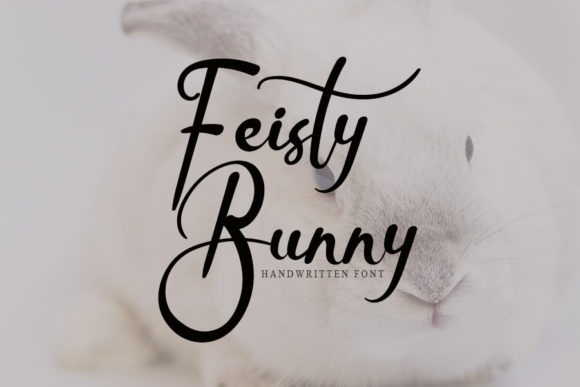Feisty Bunny: A Font That Speaks with Grace