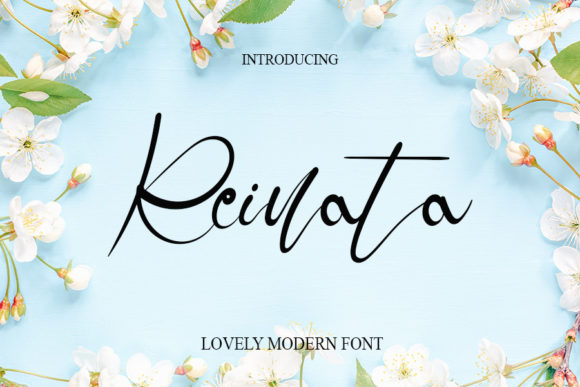 Reinata: The Font That Makes Your Campaigns Pop