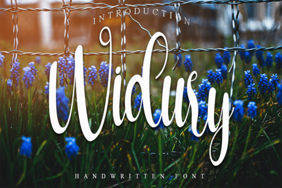 Widury: The Font That Makes Your Message Stand Out