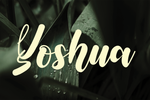 Yoshua: The Font That Elevates Your Campaigns
